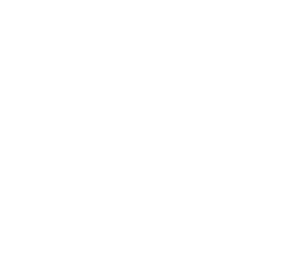 FlexxNetwork icon